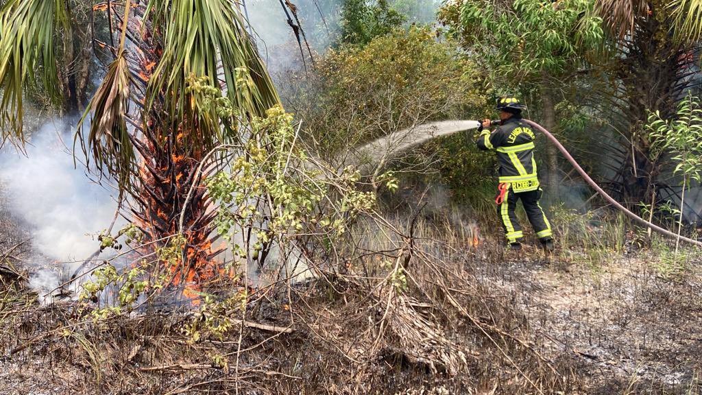 Lehigh Brush Fire