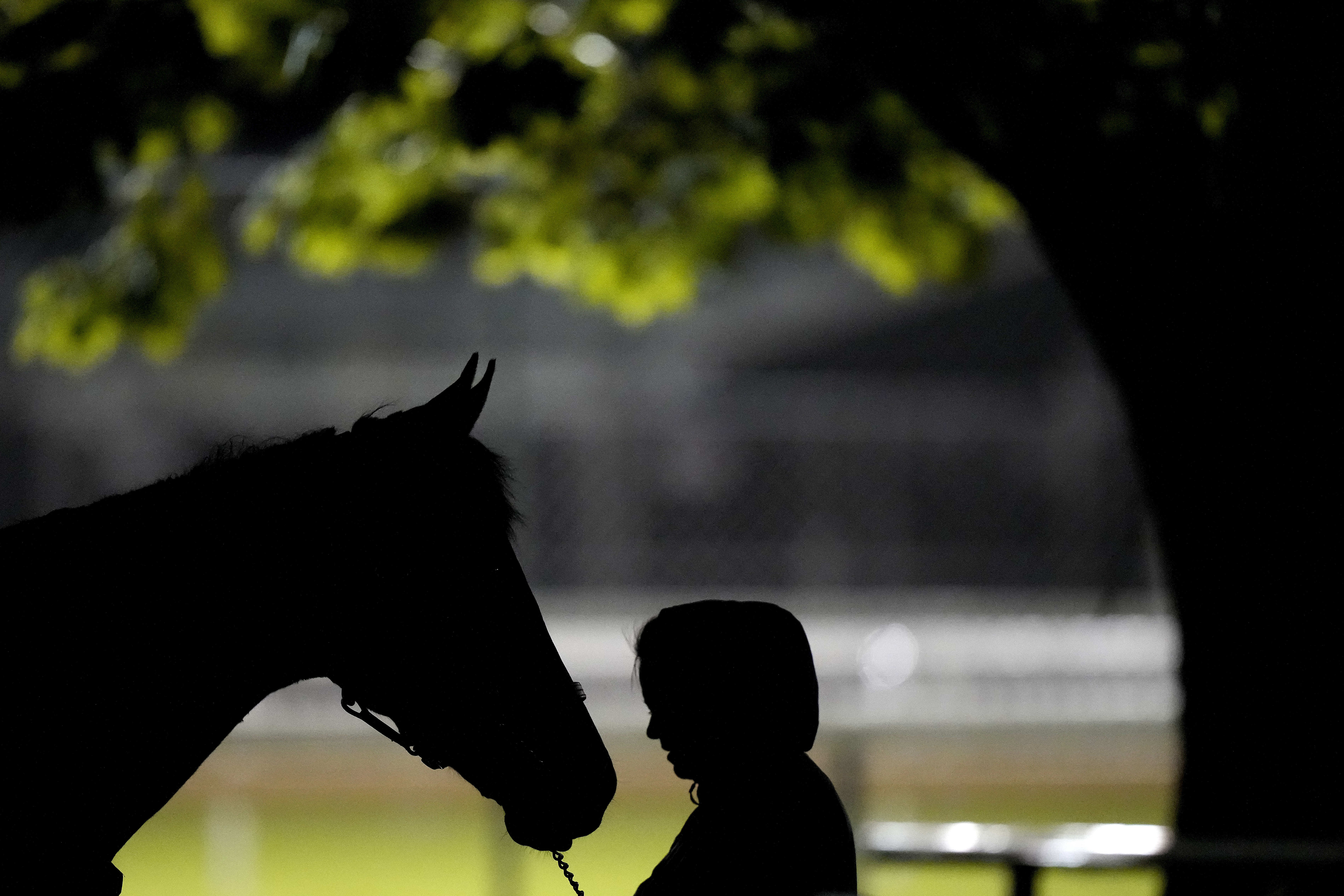 APTOPIX Kentucky Derby Horse Racing