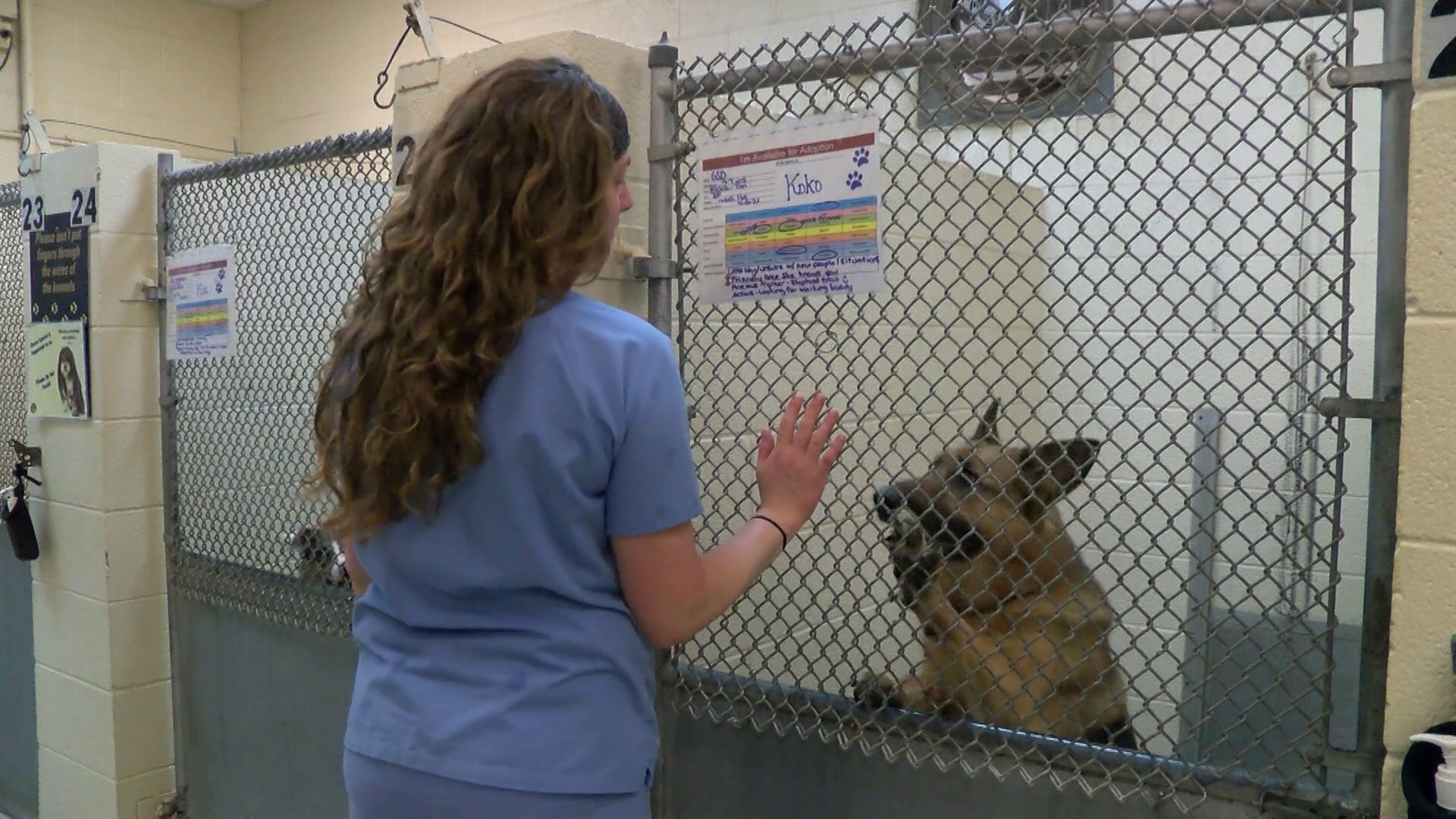 Great Falls Animal Shelter