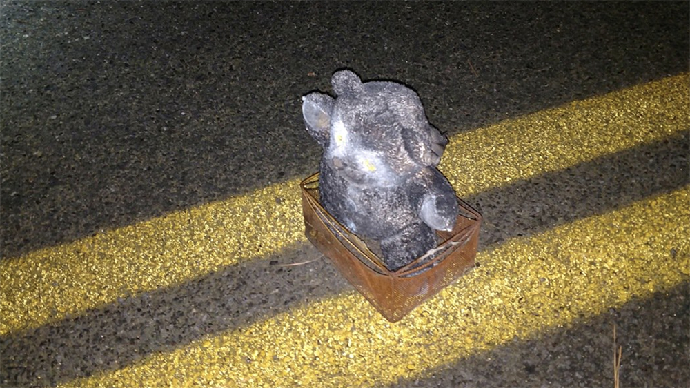 WPTV-TEDDY-BEAR-BOMB.jpg