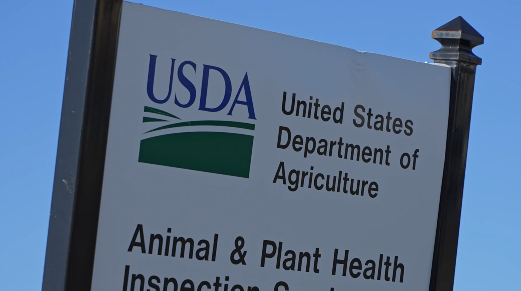 Screen Shot 2025-11-12 at 6.33.57 PM.png