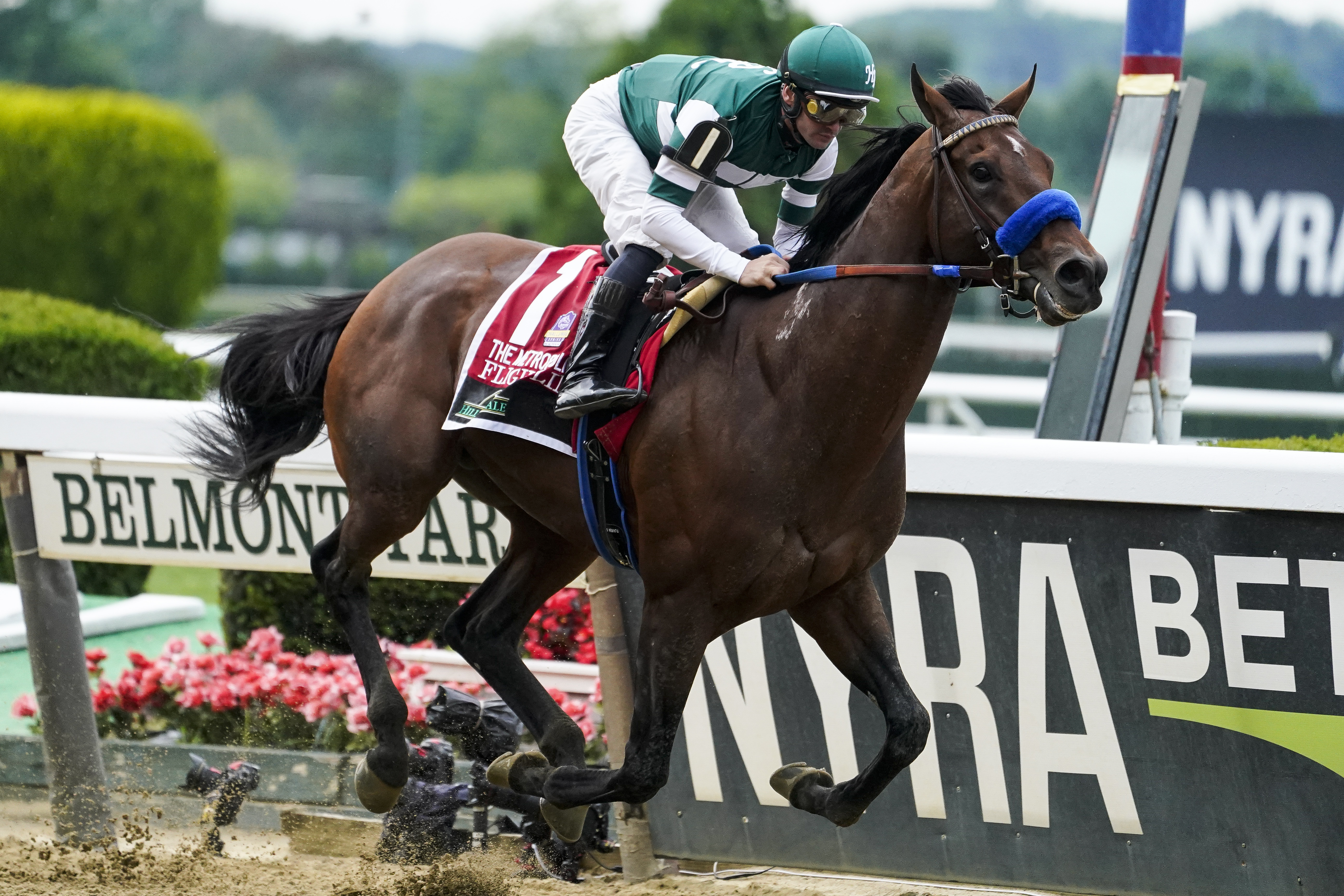 Breeders Cup Pre Entries Horse Racing