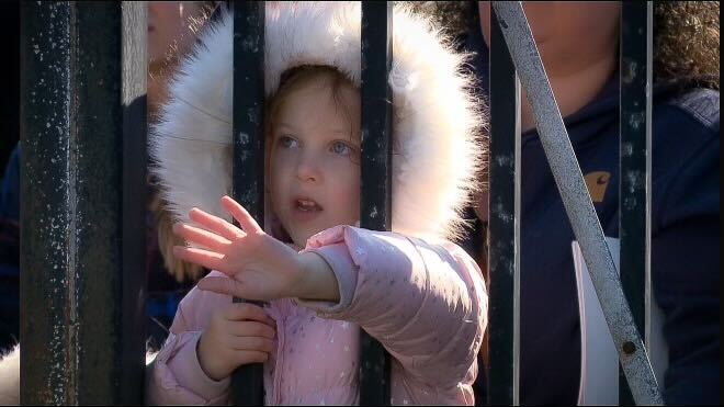 A young girl at a deployment homecoming