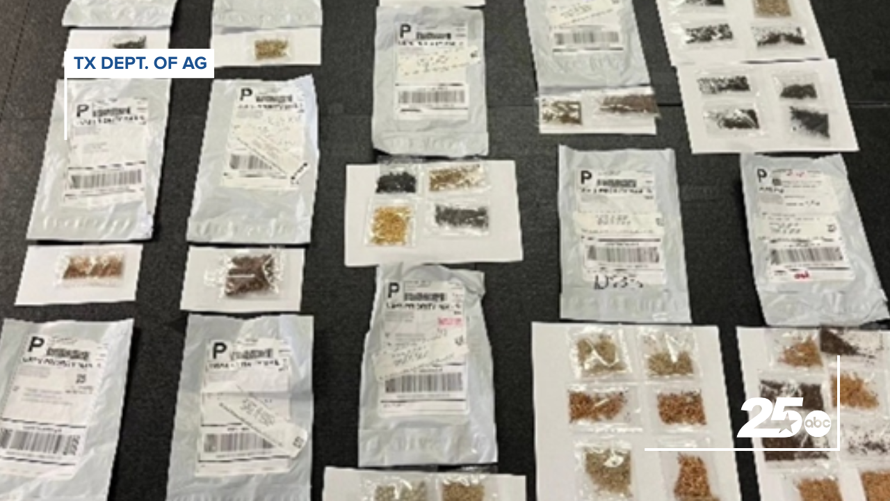 TX MYSTERY SEEDS.png