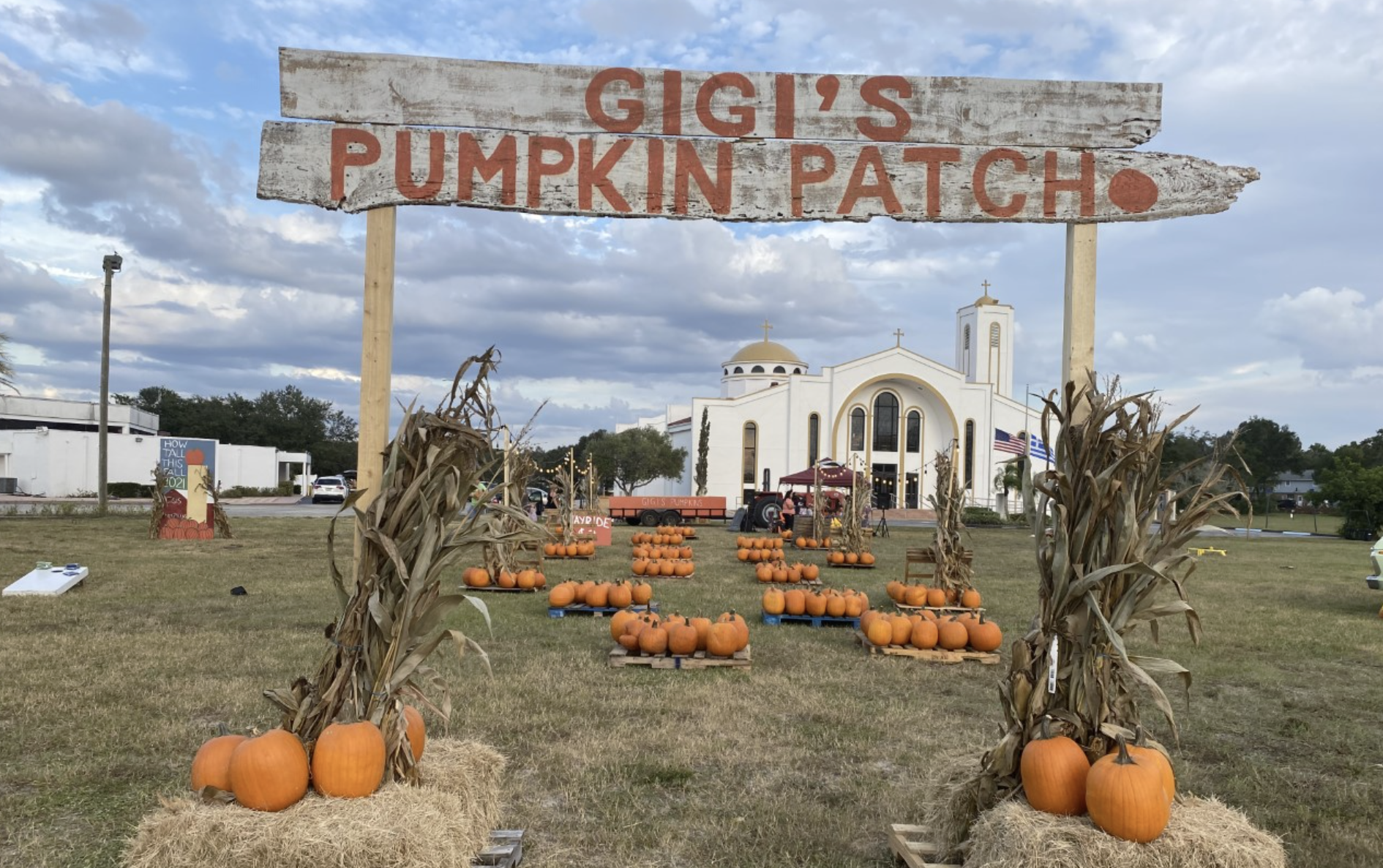 Gigi's Pumpkin Patch
