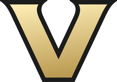 Metallic_Gold_V_Black_Outline.jpg