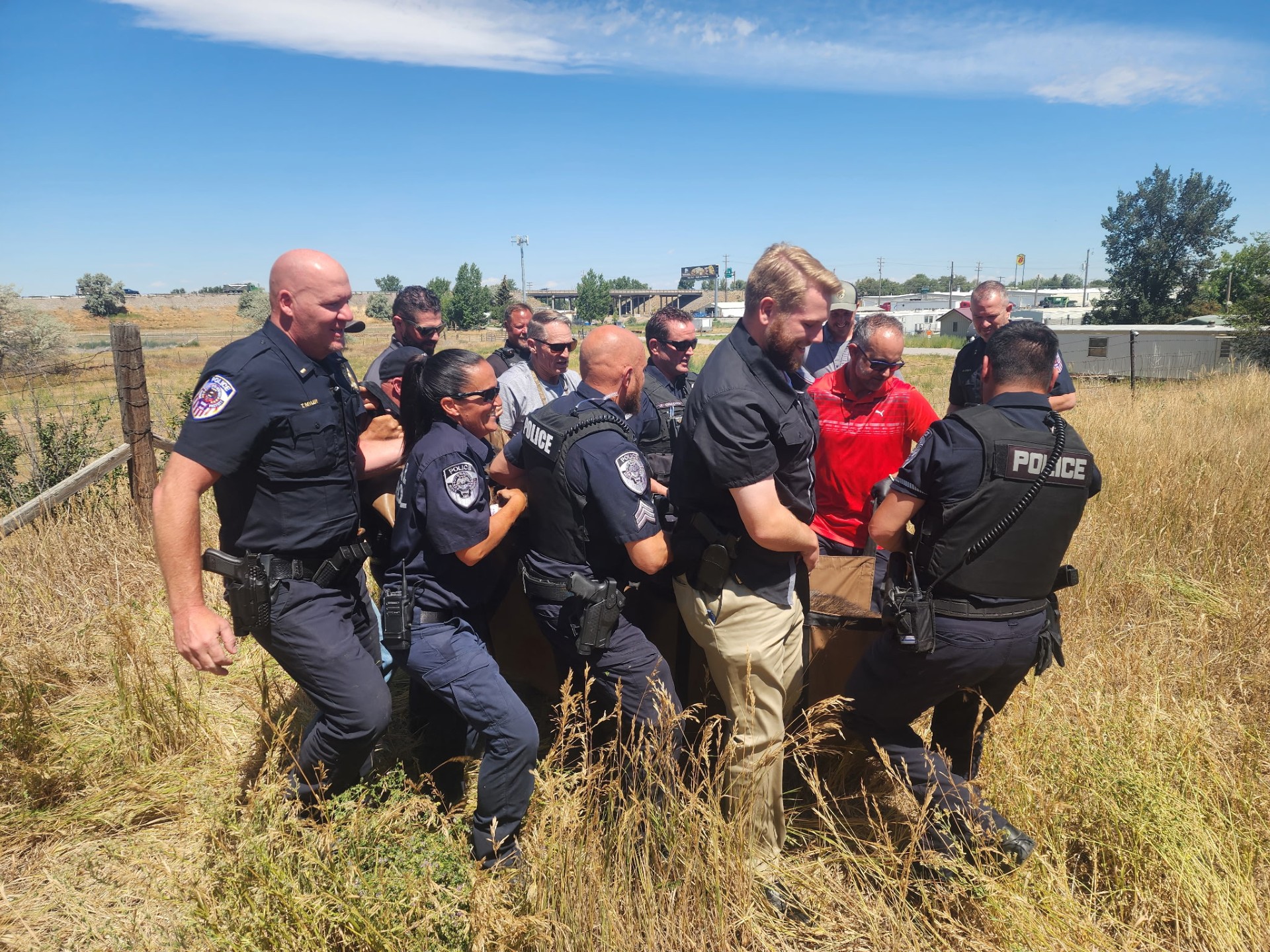 moose_removal_from_blackfoot_two_yearlings_july_2025.jpg