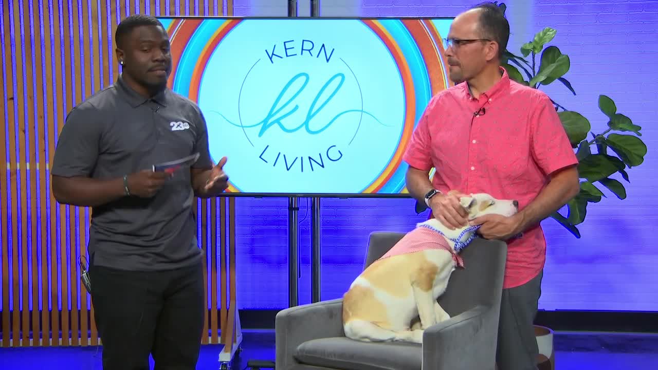 Kern Living, Pet of the Week: Emerson