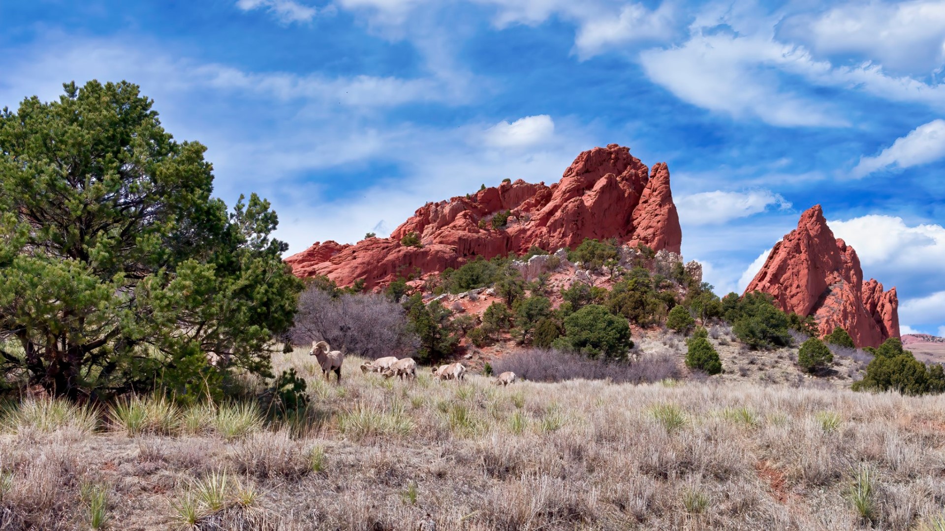 Garden of the Gods