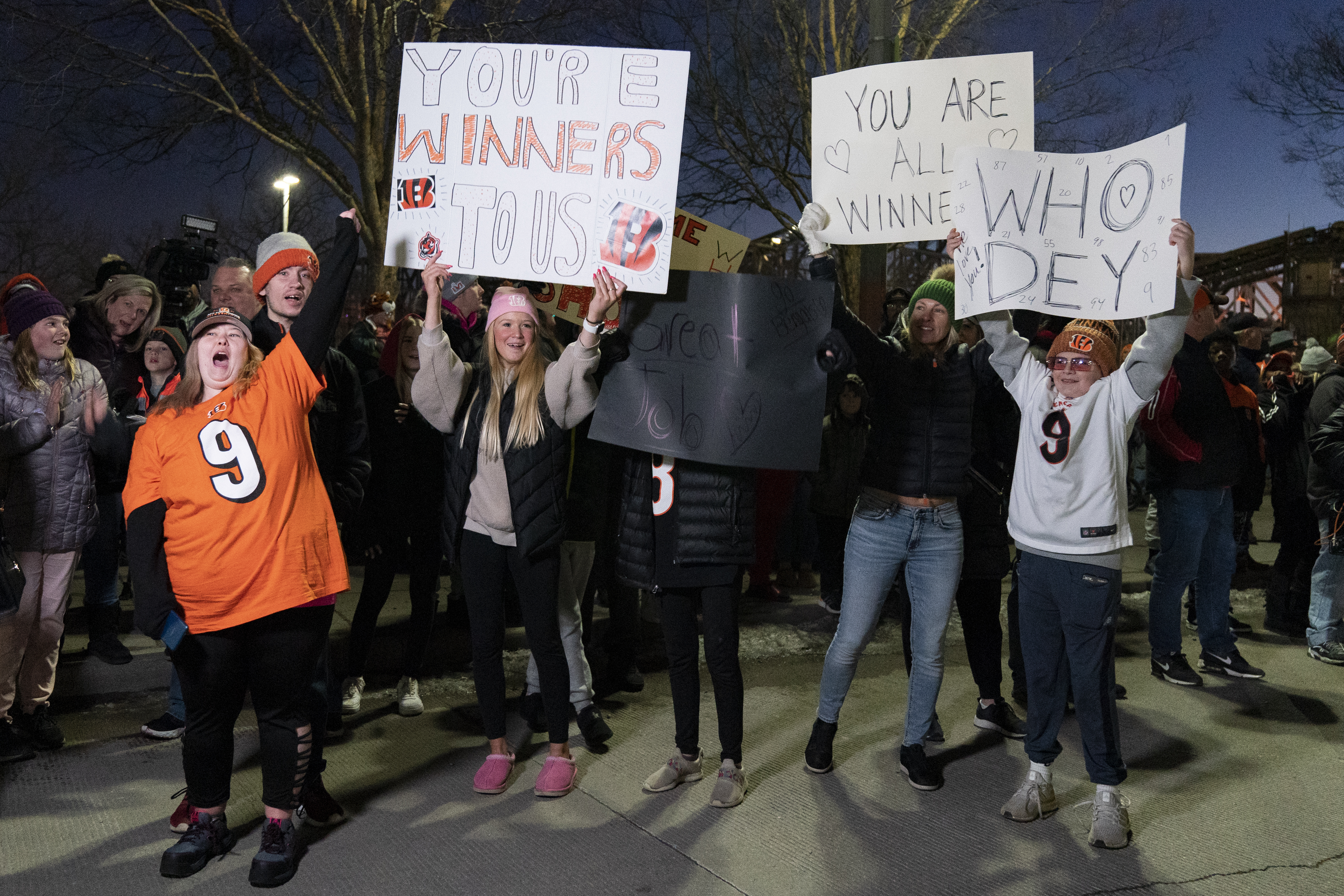 Bengals Super Bowl Football 