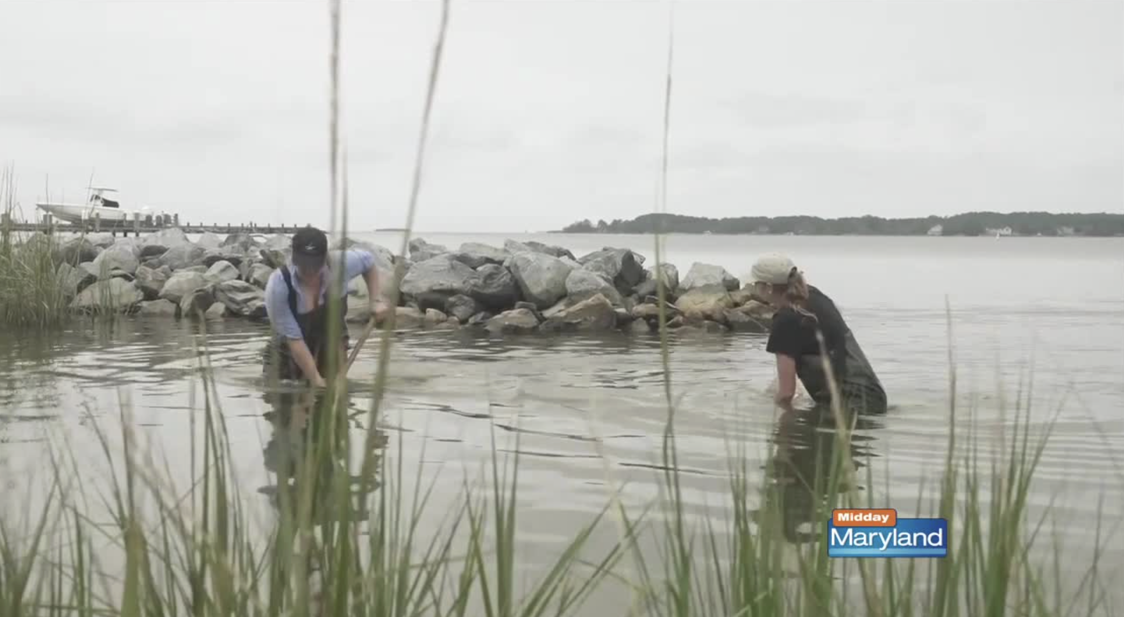 Support The Chesapeake Bay Trust This Tax Season