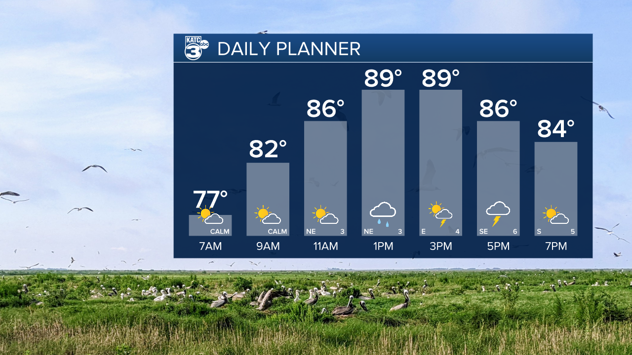 Daniel Day Planner.png