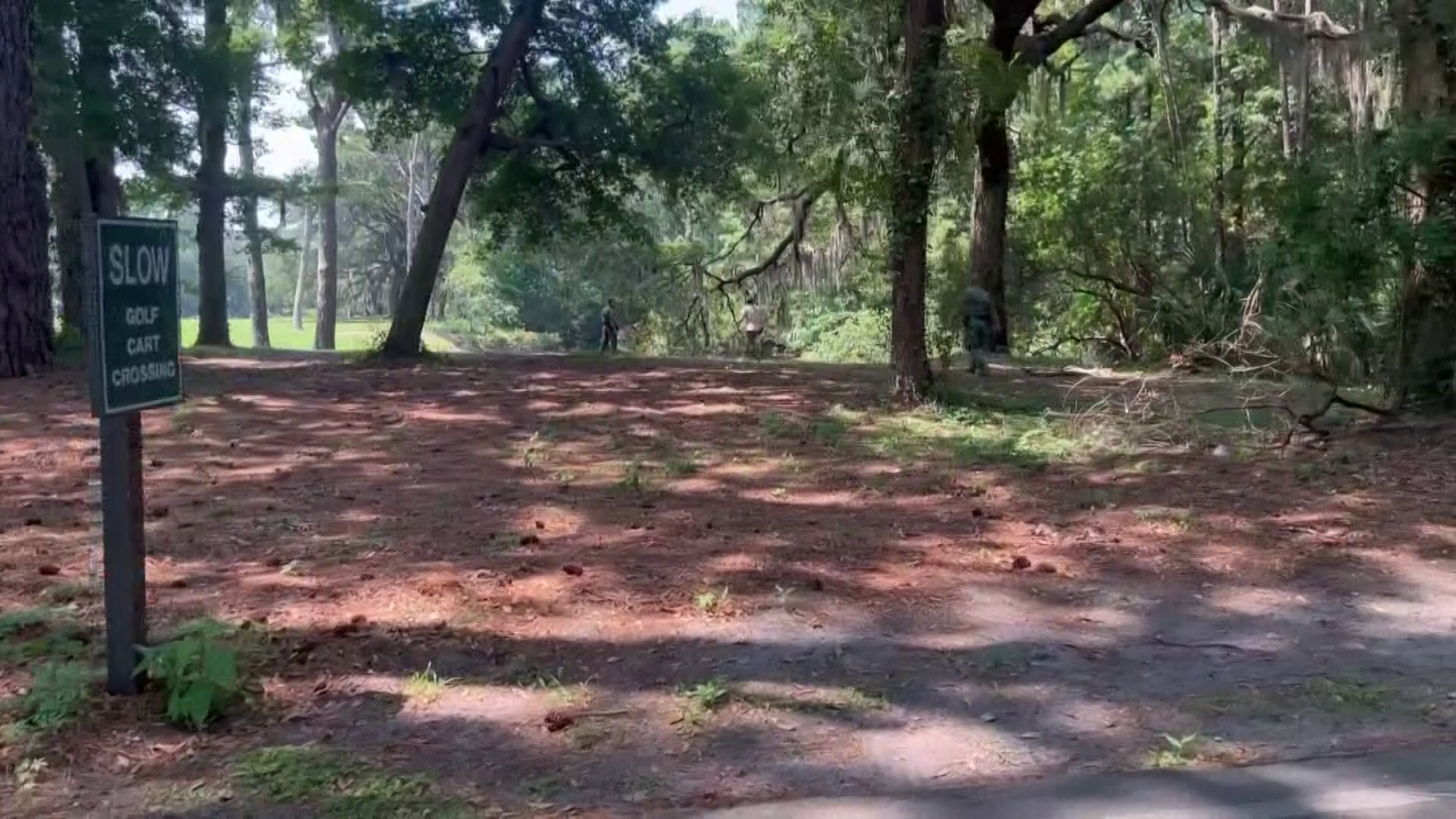 SOUTH CAROLINA WOMAN KILLED IN APPARENT ALLIGATOR ATTACK WHILE WALKING HER DOG