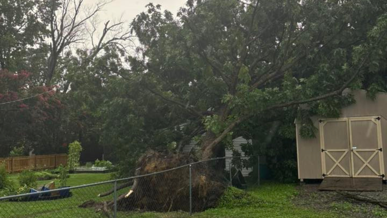 Storm damage July 18