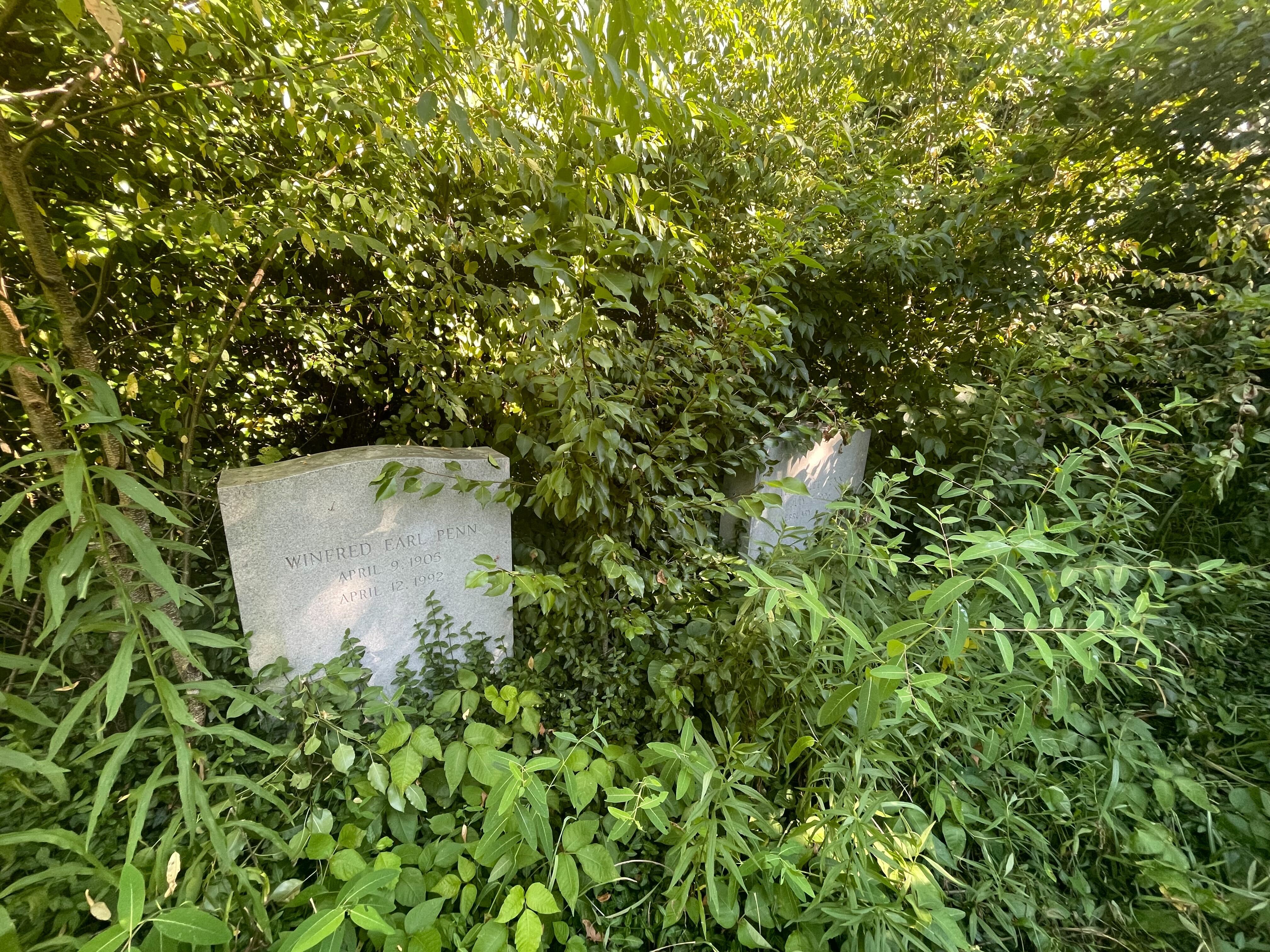 Image from iOS.jpg