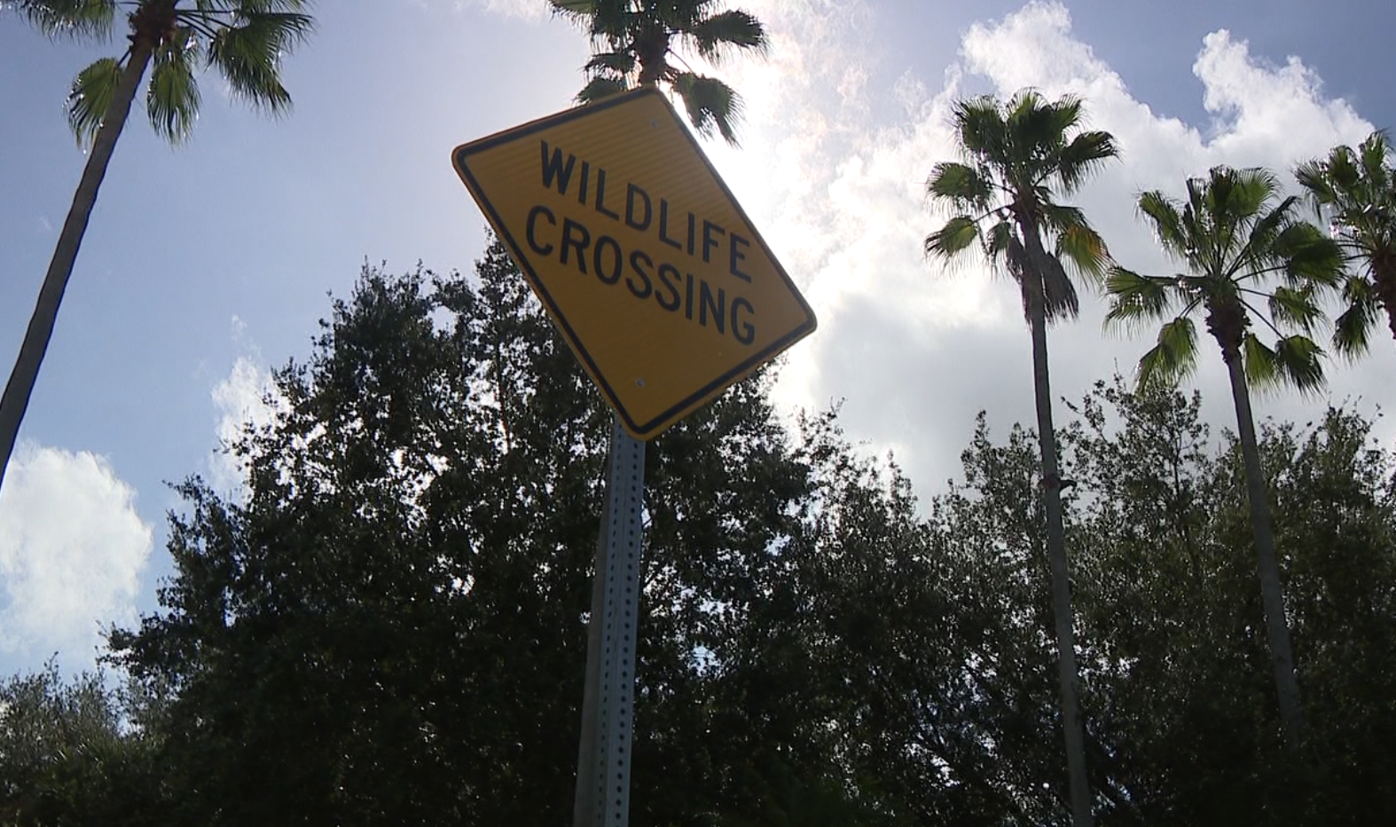 wildlife crossing sign