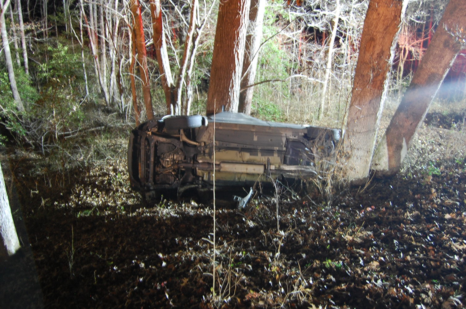 Brandy Creek Road Fatal Crash 