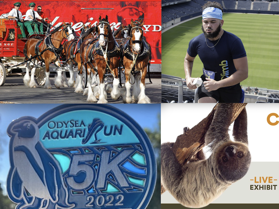 Screen Shot 2022-03-31 at 9.34.07 AM.png