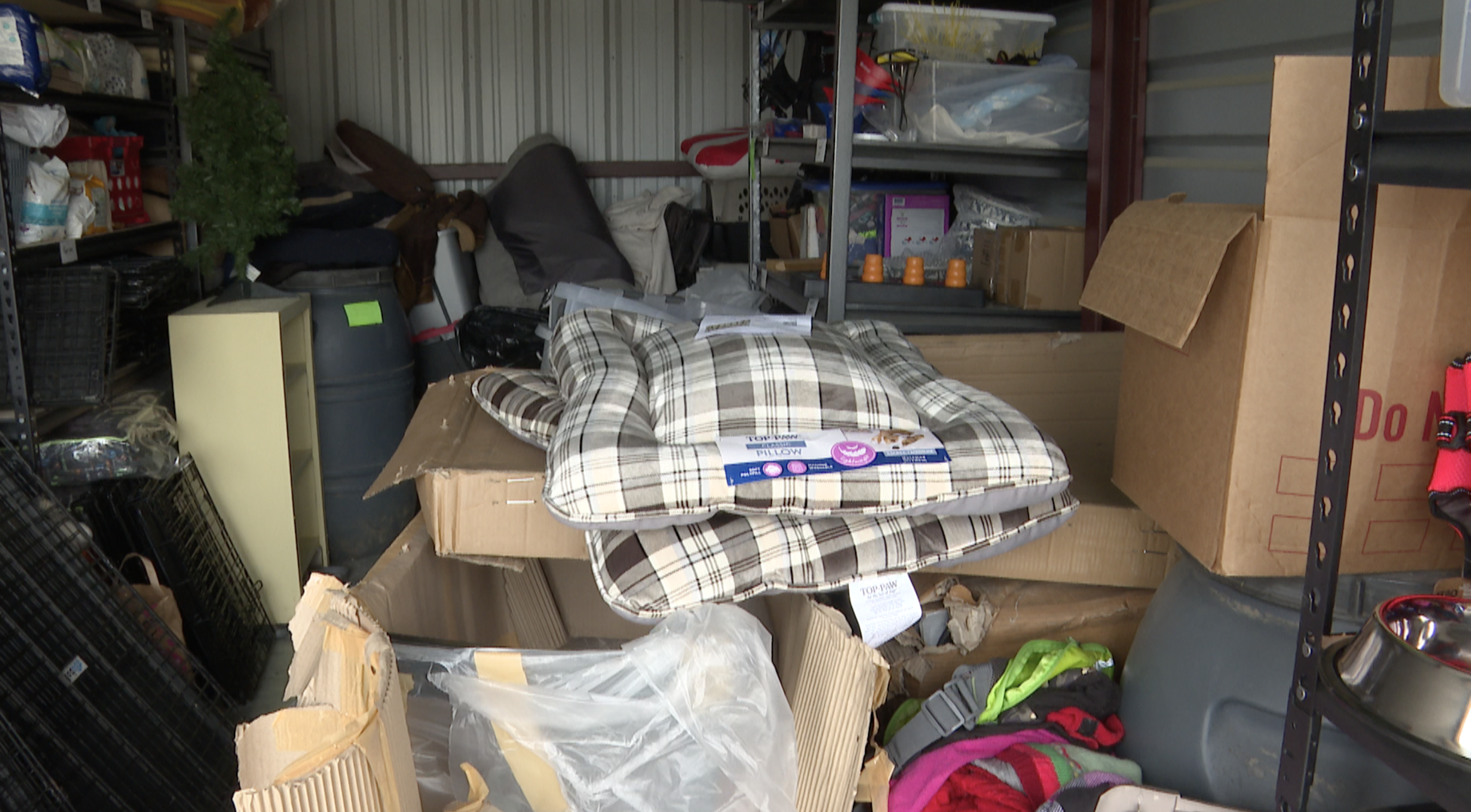 DOG RESCUE DONATIONS FOLO CLIFTON 