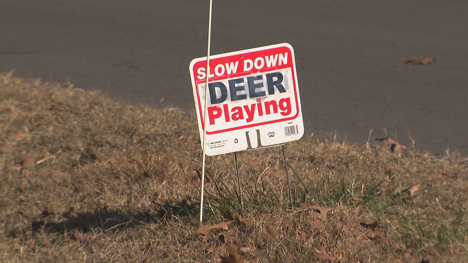 deer sign.jpeg
