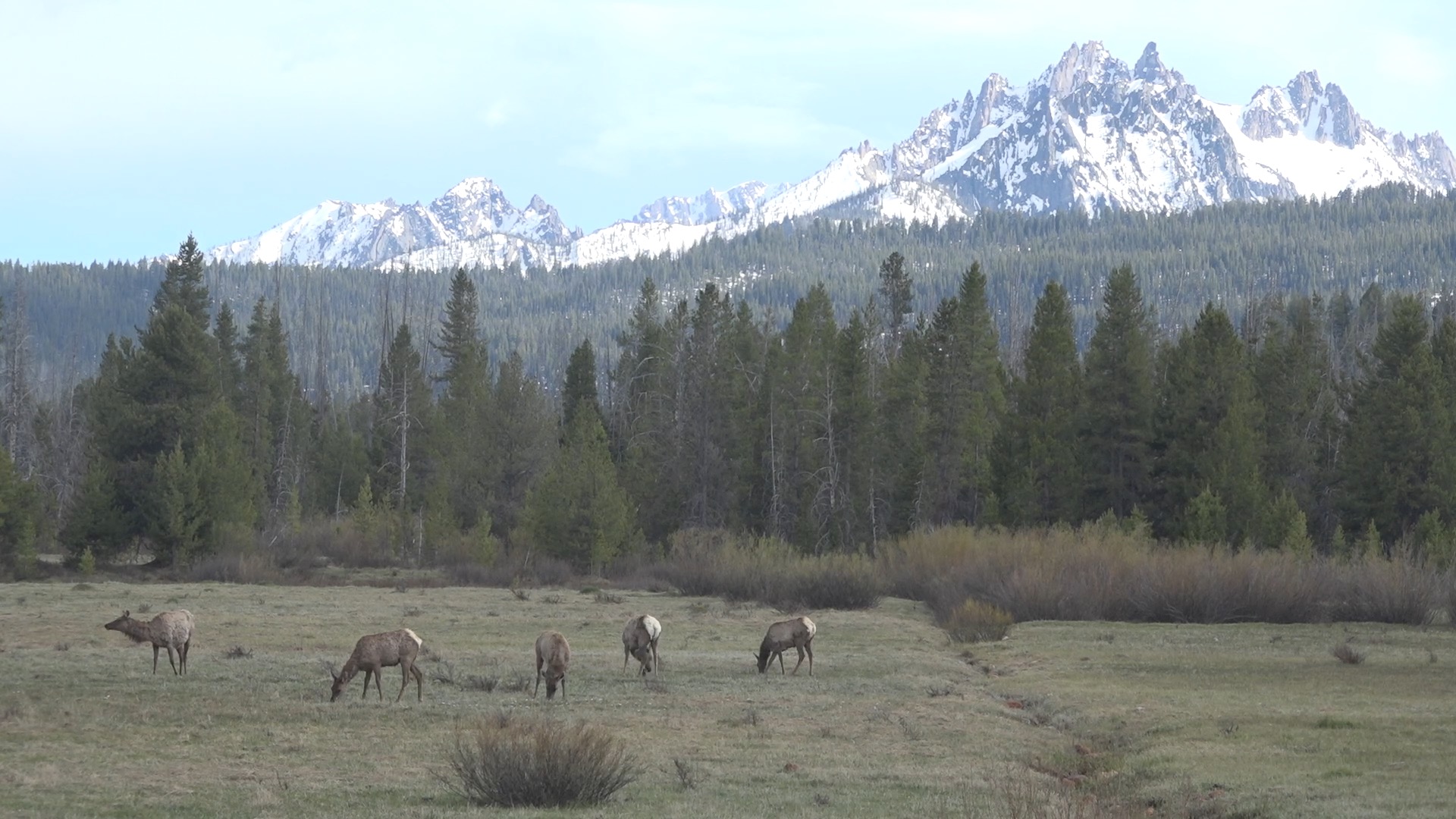 Hunting and Technology Law Idaho