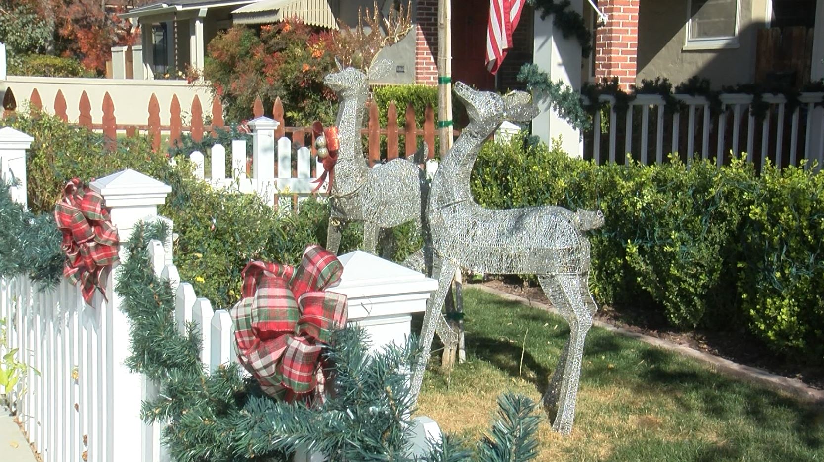 vine street decorations.JPG
