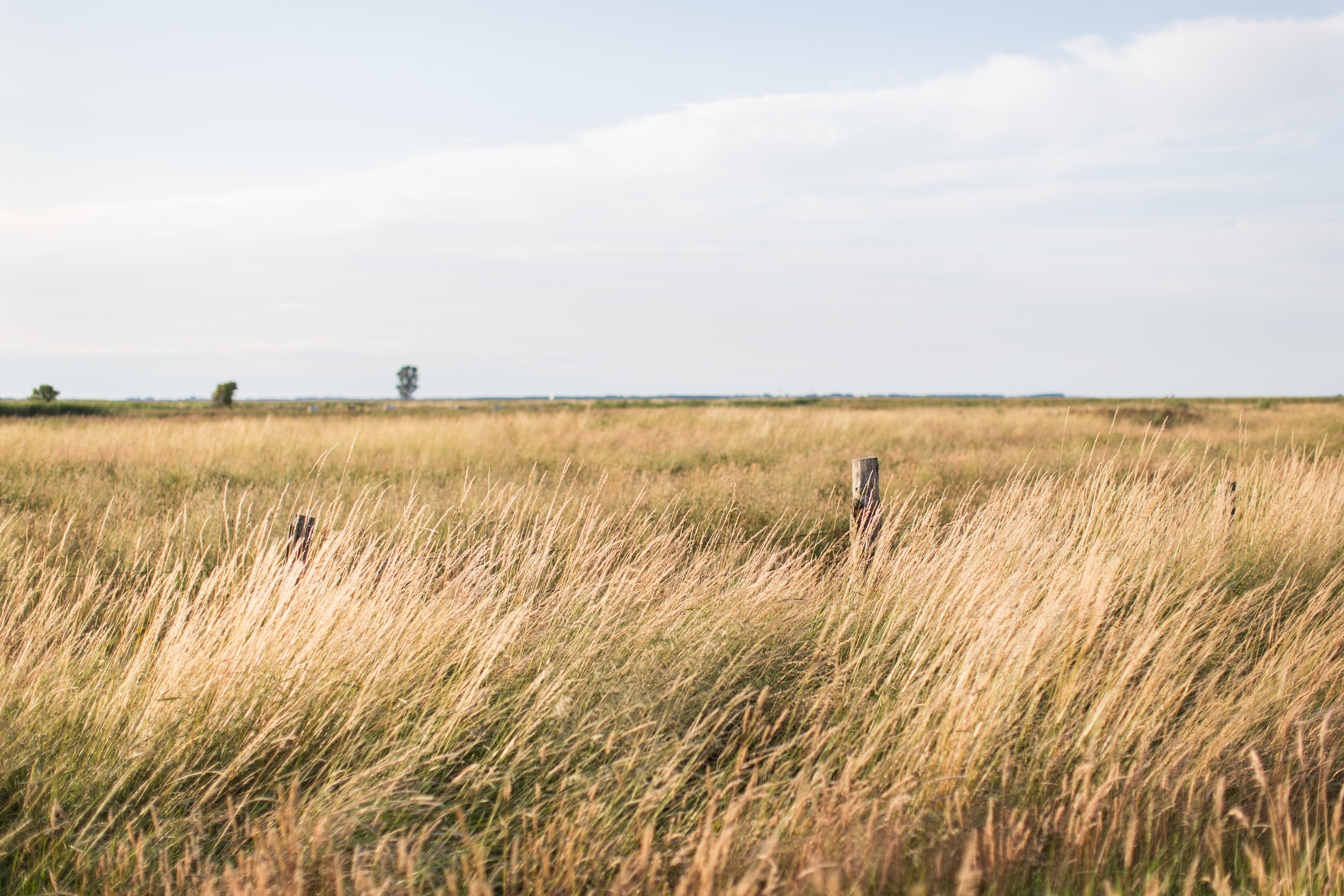 wind on plains 
