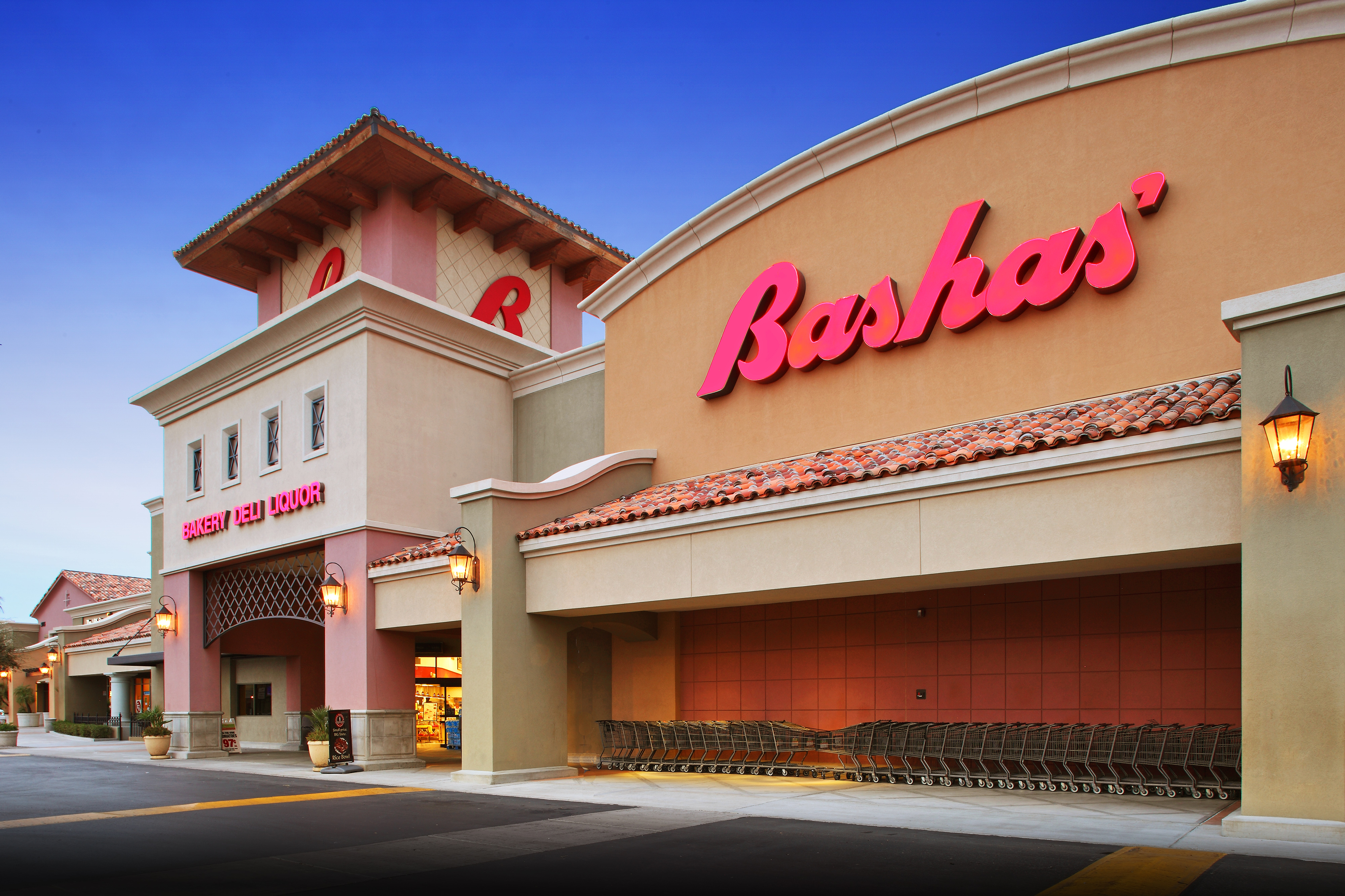 Bashas generic - handout