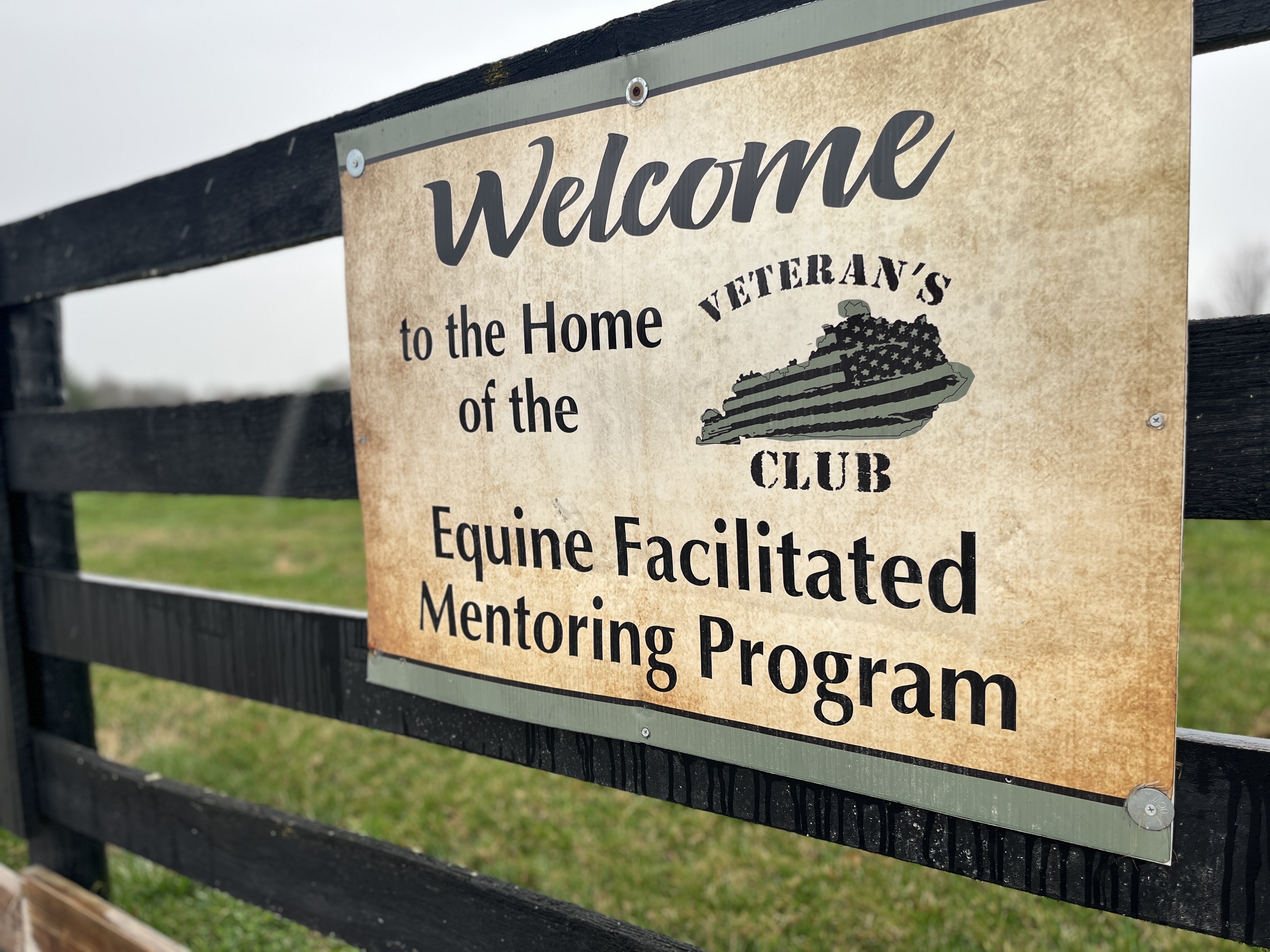 Veteran's Club Equine Facilitated Mentoring Program