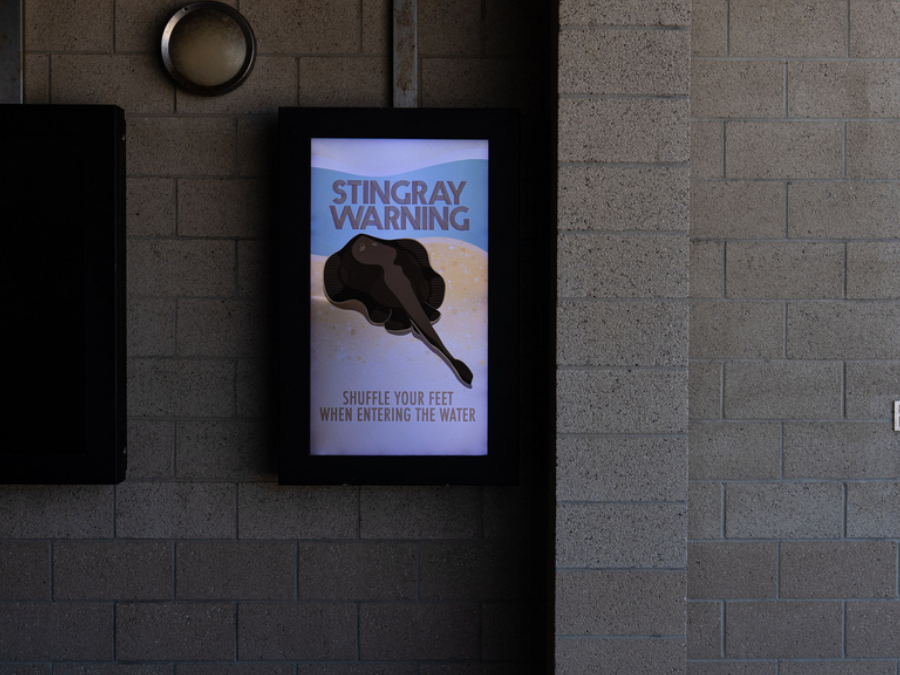 stingray_warning_huntington_beach_apphoto.png