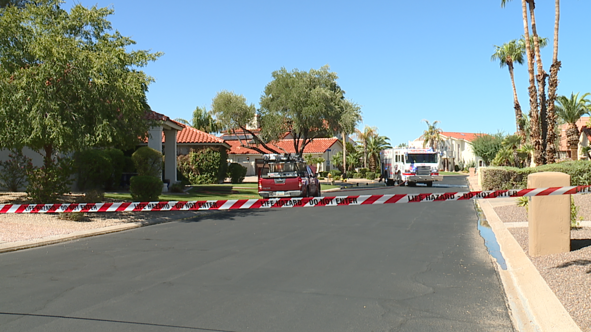 Cheryl Dr bee attack.png