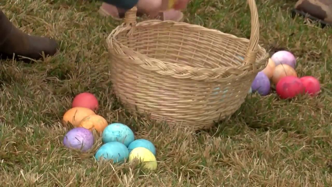Easter Eggs and Basket