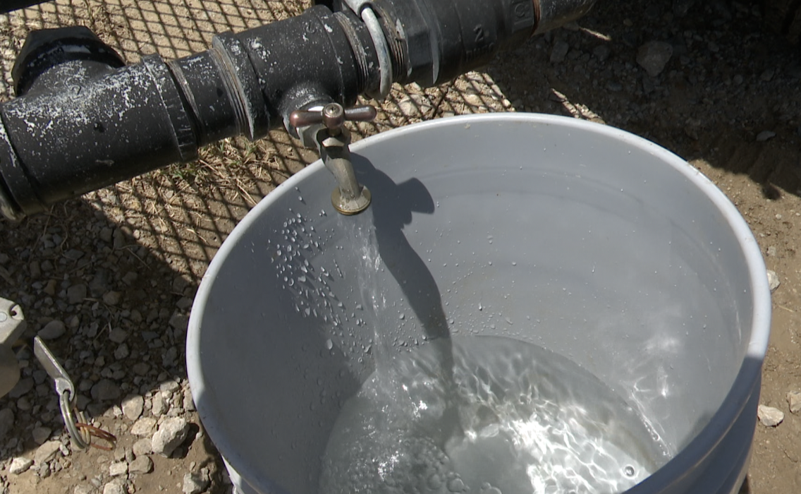 Water buffalo filling bucket boil notice Preston Okmulgee County