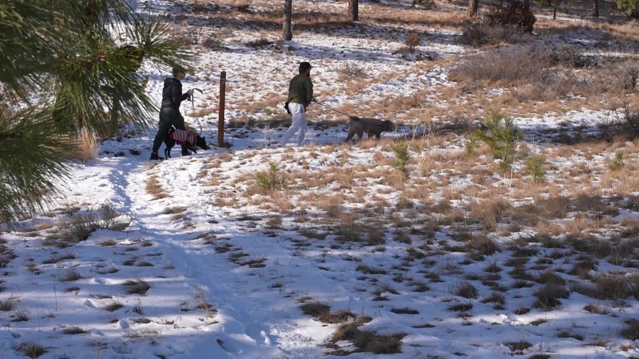 Helena New Years Hike