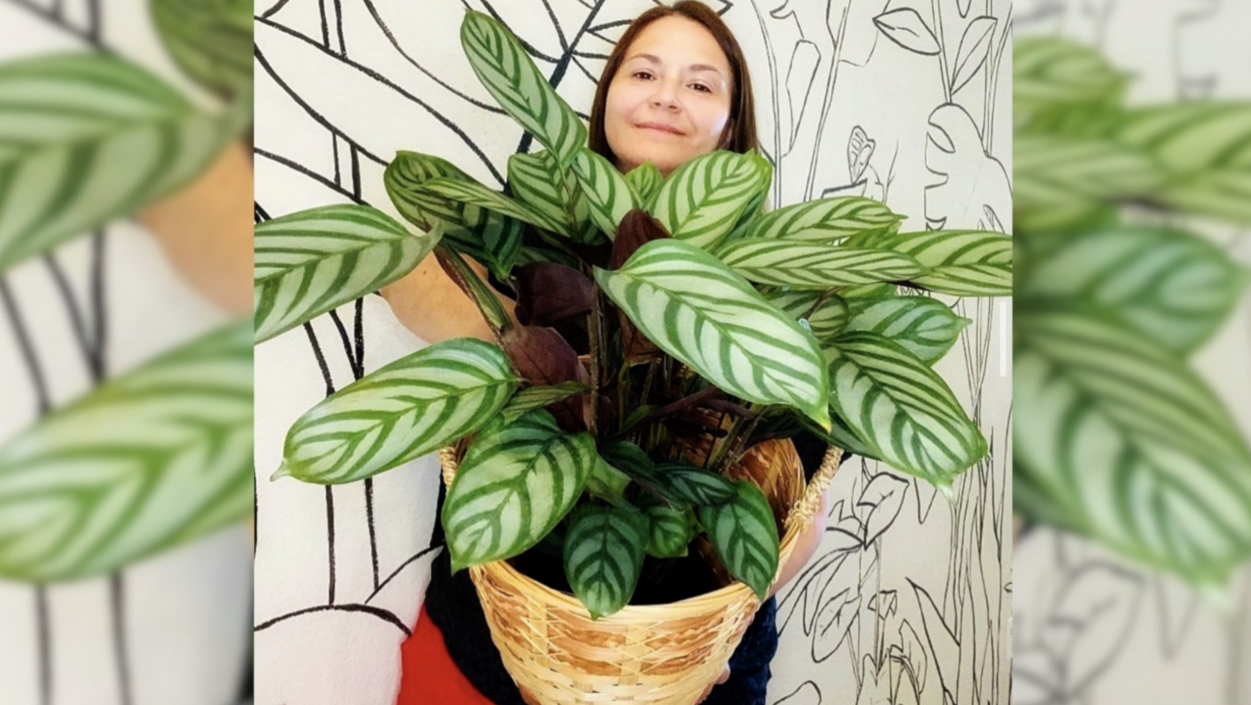 'Plant Lady' Rosa Ramos