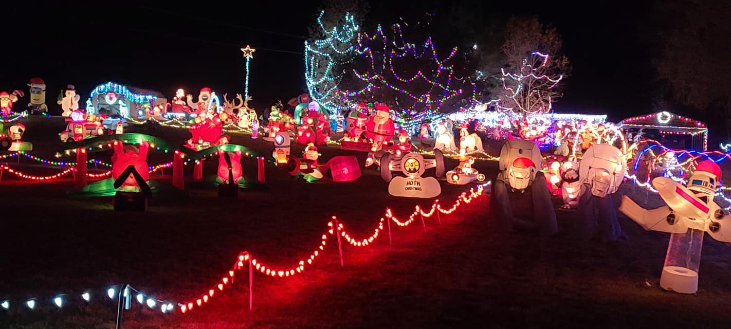 Woods Christmas lights.jpg