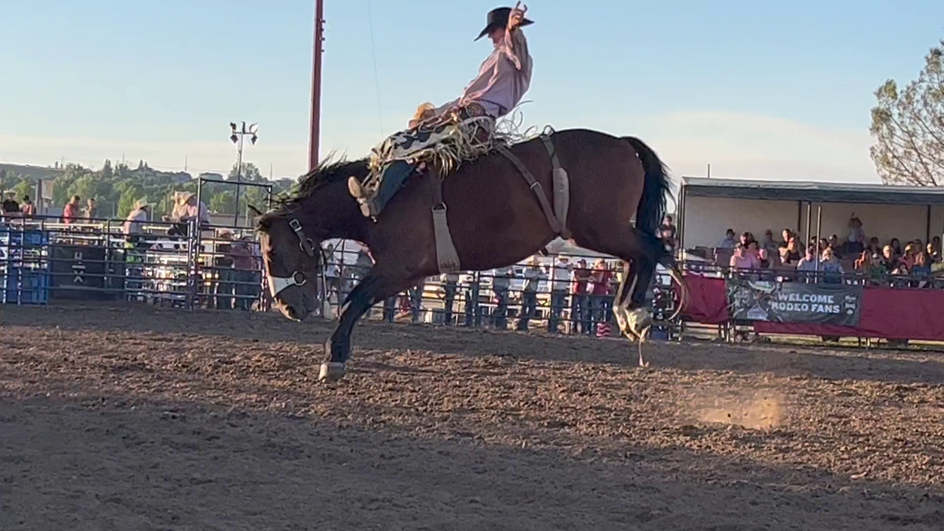 Cowboy on a horse (MTN News)