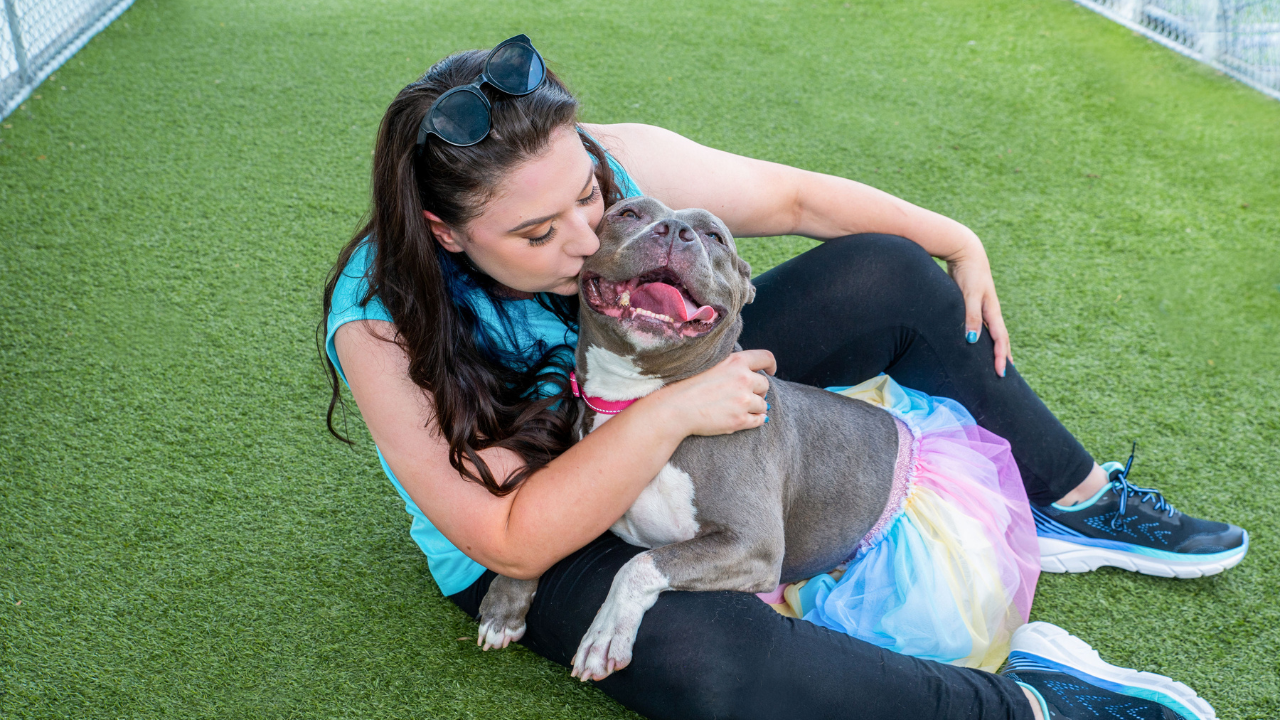 Professional Pets Florida B&E Photography2.png