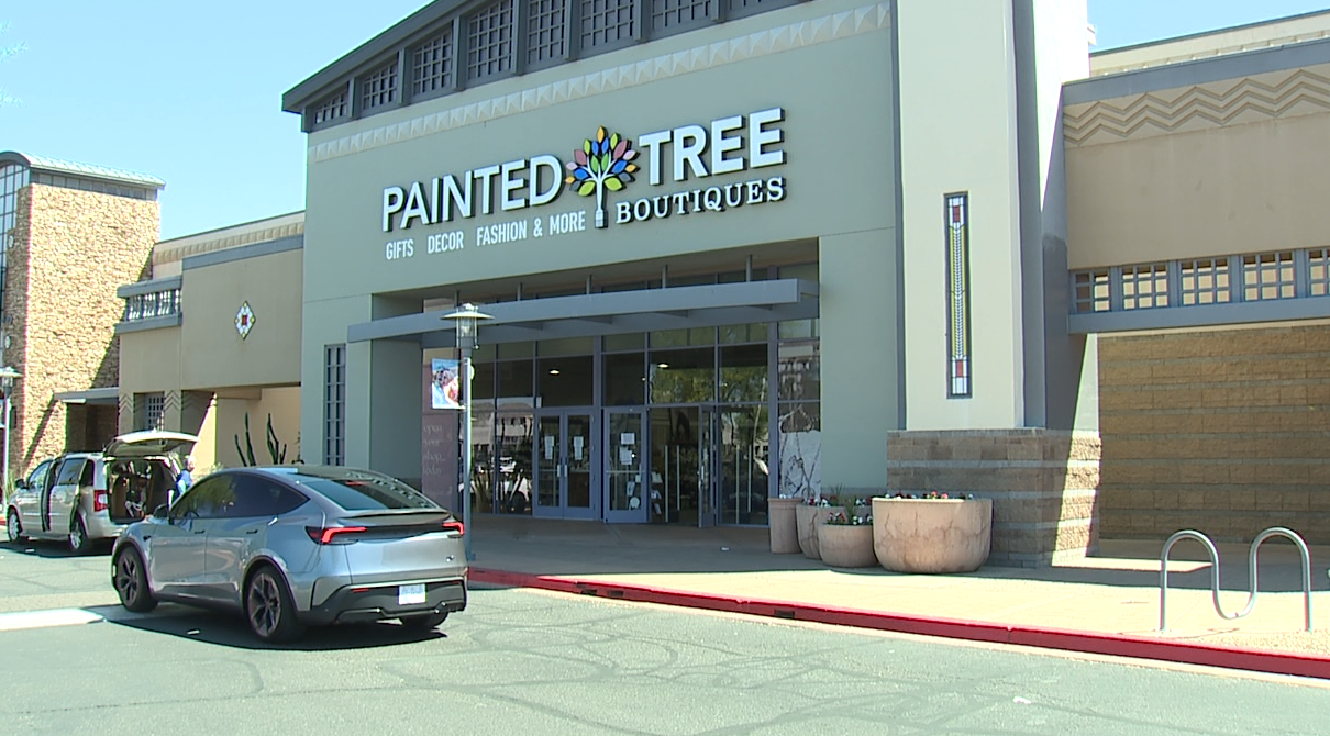 Painted Tree in Scottsdale