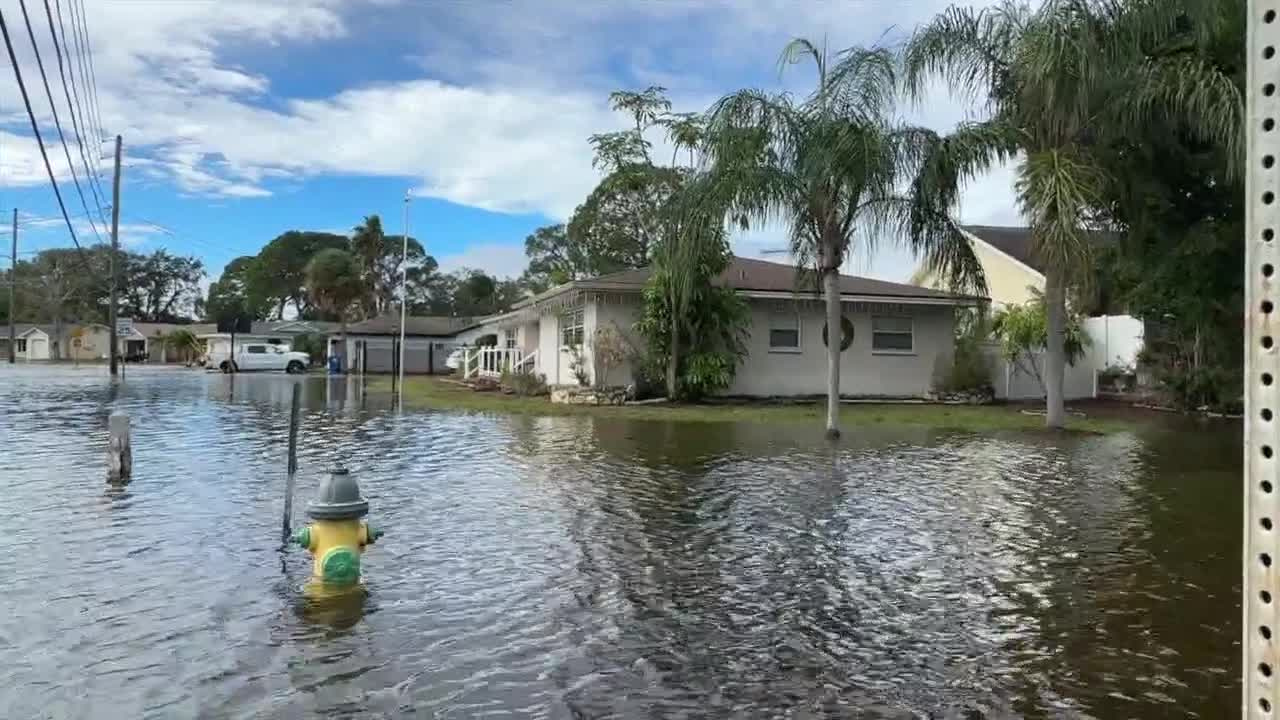 shore acres.png
