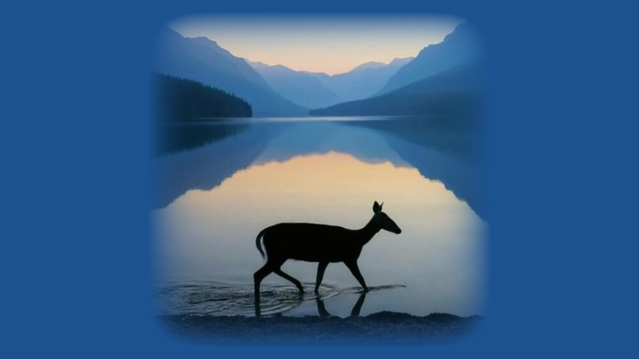 Obituary Deer Croxford