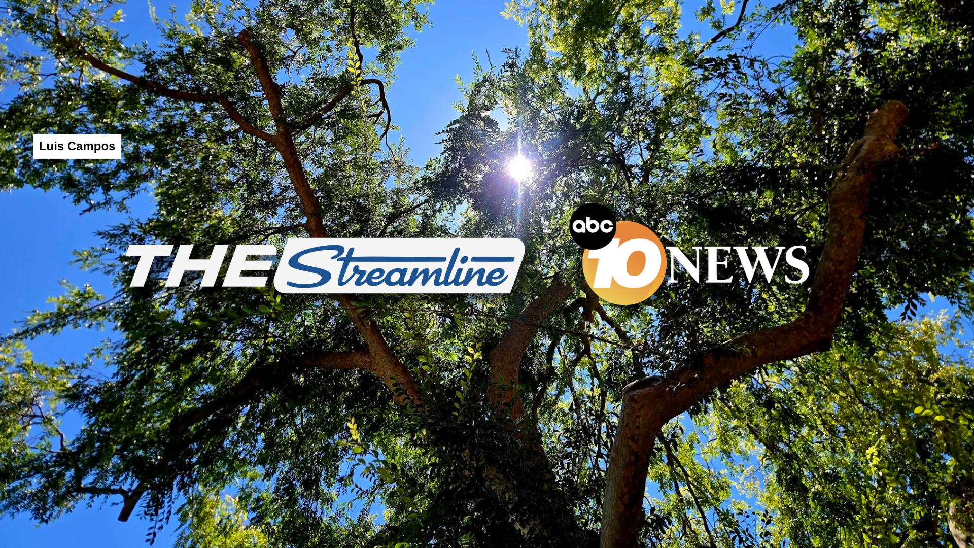 streamlie_santee_lakes_sun_trees_luis_campos.png