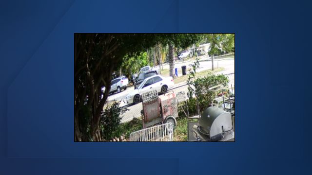 Background only (92).jpg