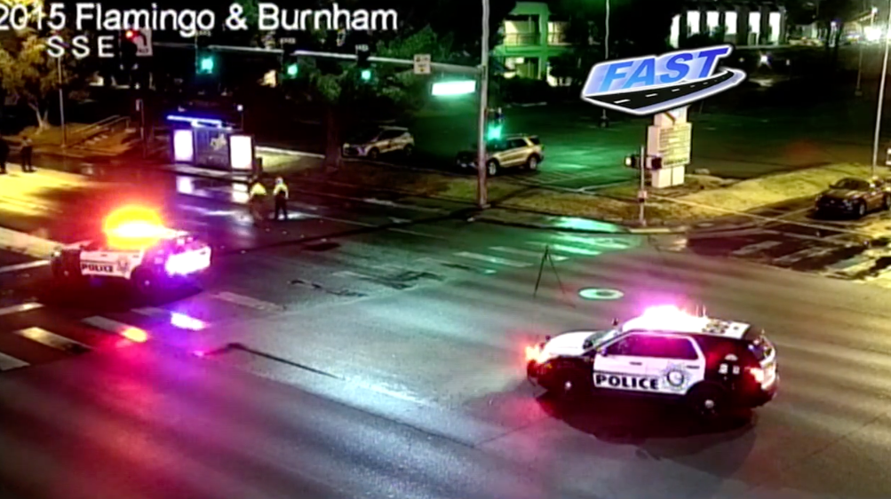 Flamingo and Burnham crash
