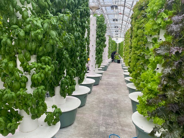 JFS Altius Farms.jpg