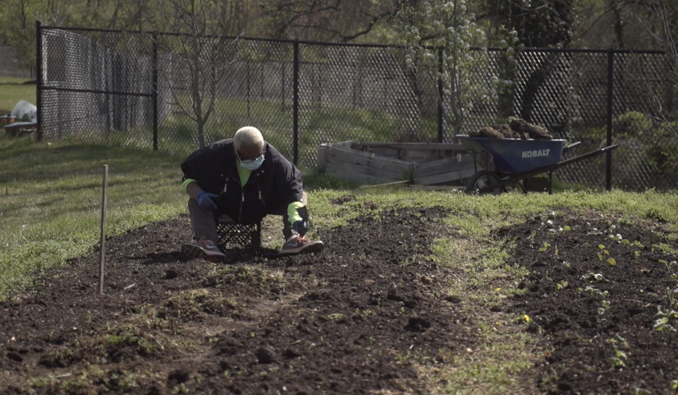 This year, the "DMV Urban Greens" farm is growing collards, kale, arugula, cabbage, broccoli, tomatoes, carrots, cucumbers, squash, onions, garlic and herbs. Last year, they donated 20,000 pounds of fresh produce to the community from their urban farms.