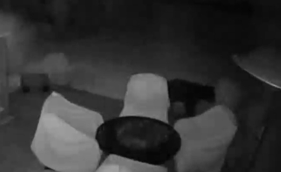 Black bear caught on camera roaming Fayette County neighborhood