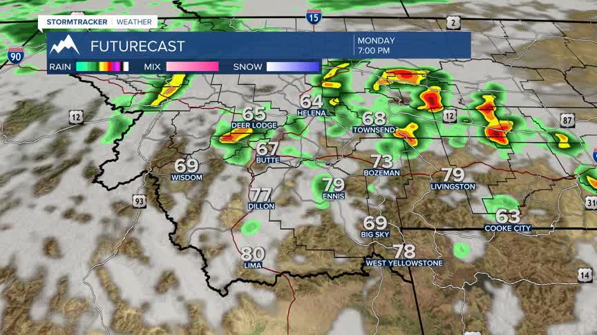 afternoon t-storms.jpg