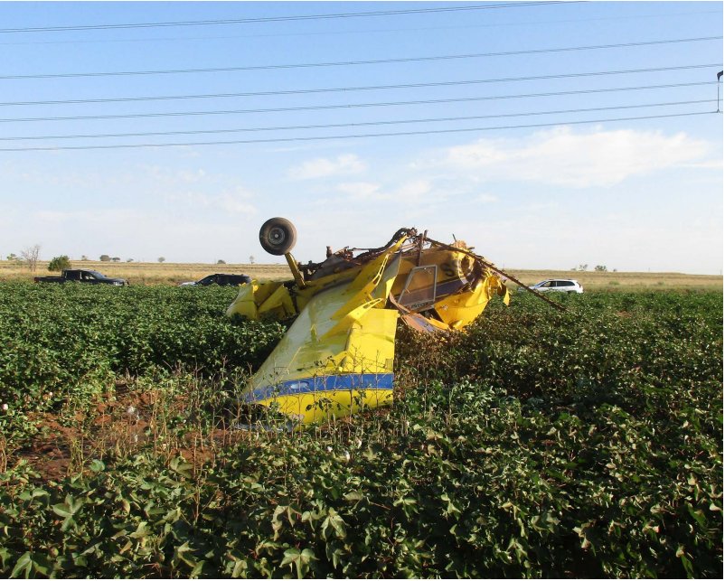 Small plane crash caused by "gender-reveal" stunt