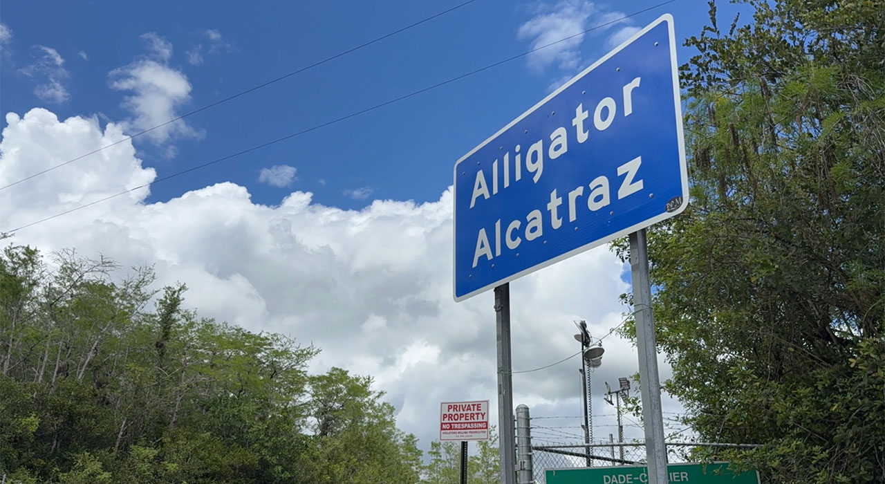 Alligator Al